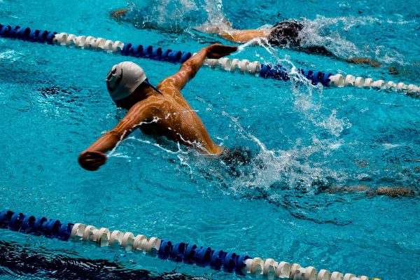 การแข่งขันว่ายน้ำในมหาวิทยาลัยของออสเตรเลีย